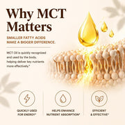 Ceylon Cinnamon 7200mg Equivalent with MCT Oil